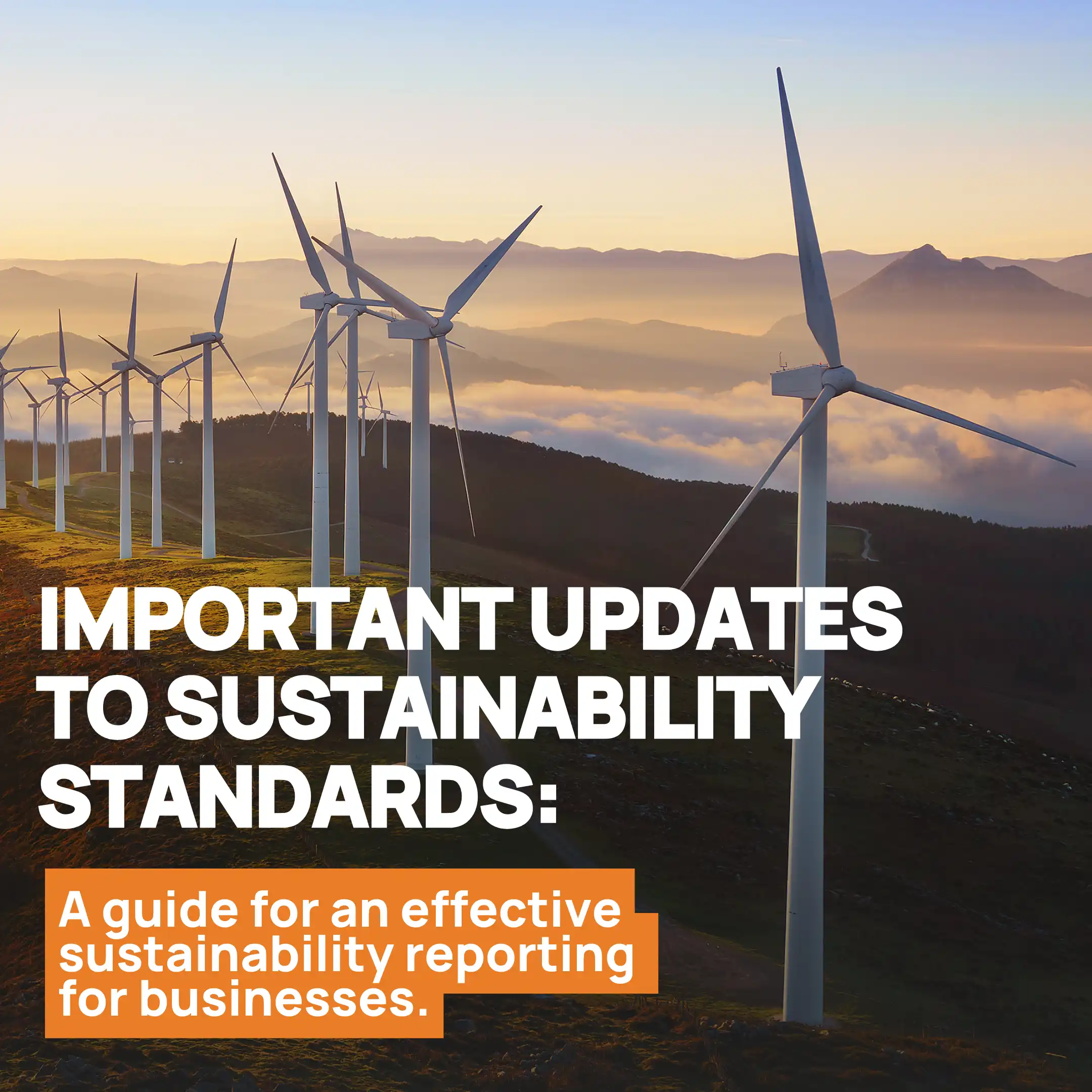 Sustainability Reporting Standards