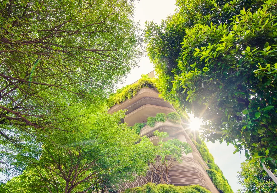 Sustainability Services